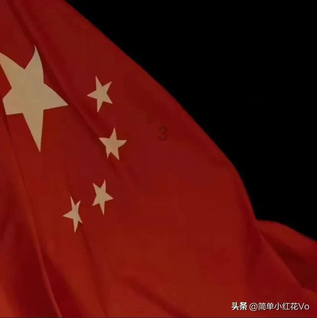 生化危机：浣熊市行动