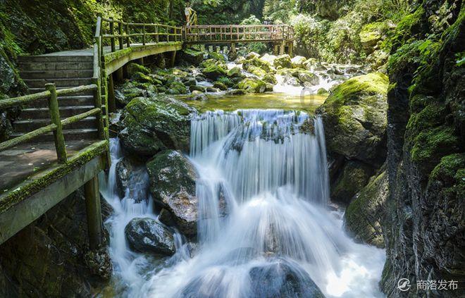牛油果面包