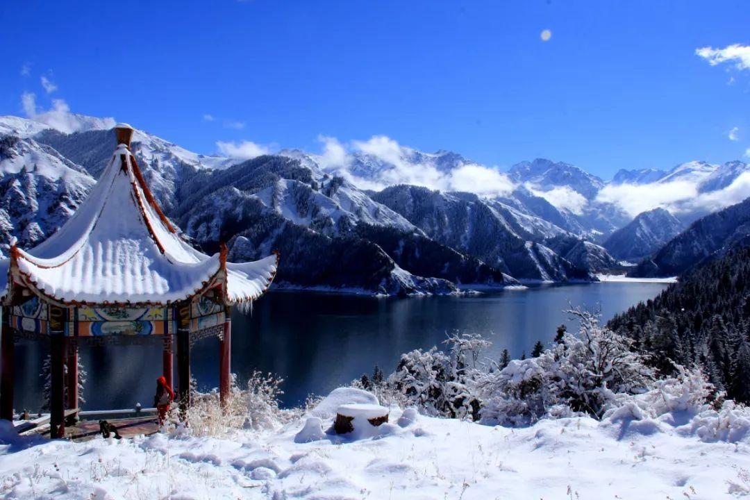 小男孩三亚含泪吃油泼面后续：整个三亚受影响，店老板肠子悔青